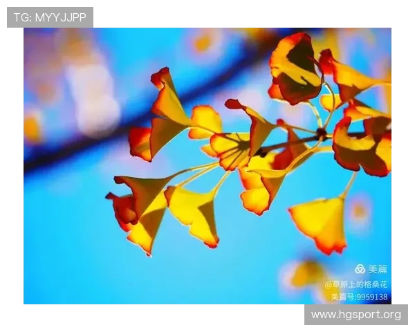 跨越山海并肩前行这是中国足球站在此刻的答案与信念陪伴不退场